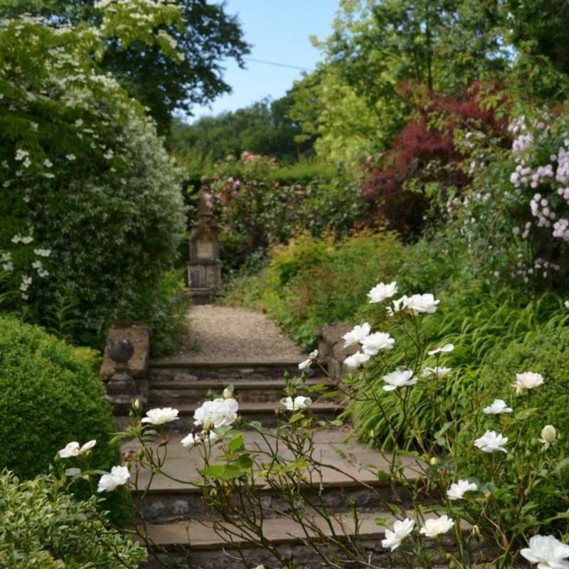 John-Horsey-Horticulture-Garden-design-Burrow-Farm-Gardens