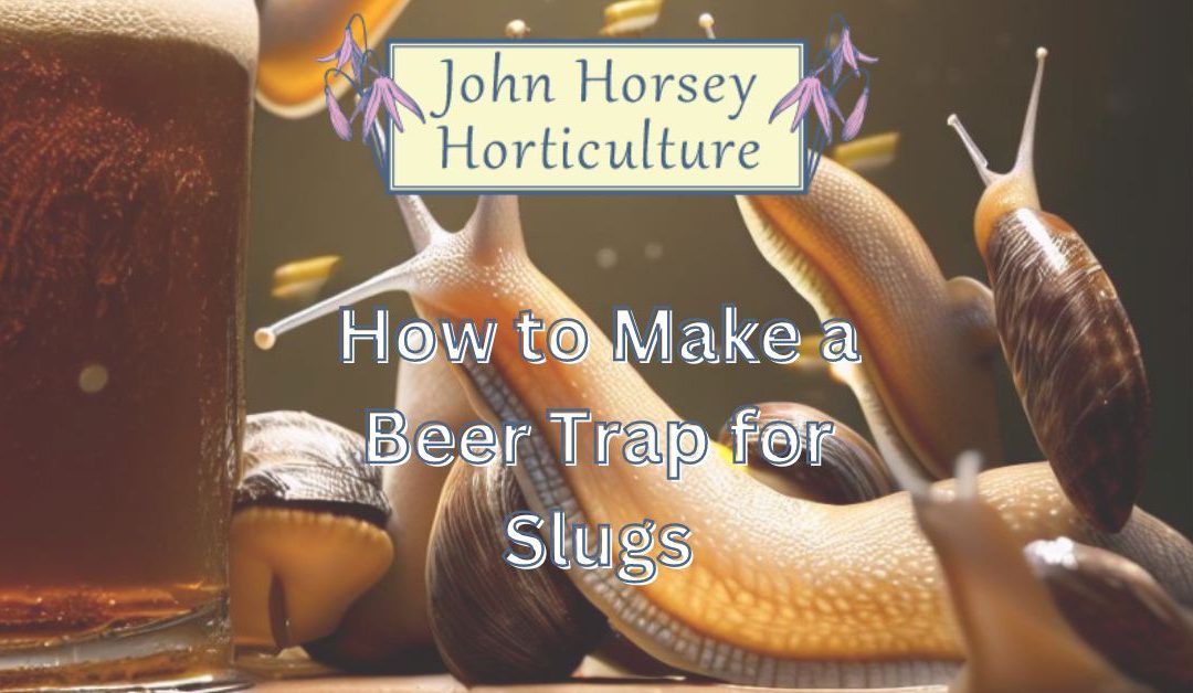 How to Make a Beer Trap for Slugs & Snails 🐌